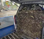 Presentaci&oacute;n1