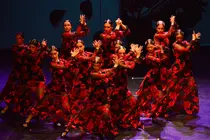 WhatsApp Image 2026-04-21 at 14.17.32(1)