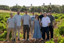 Profesionales chinos en un vi&ntilde;edo manchego - copia