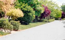 Jardines del Pozohondo