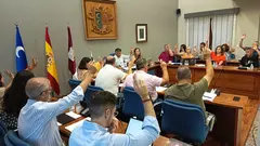 Pleno Julio 2026