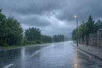 62c97a57-1c13-4fb5-8583-22b60e5ded83