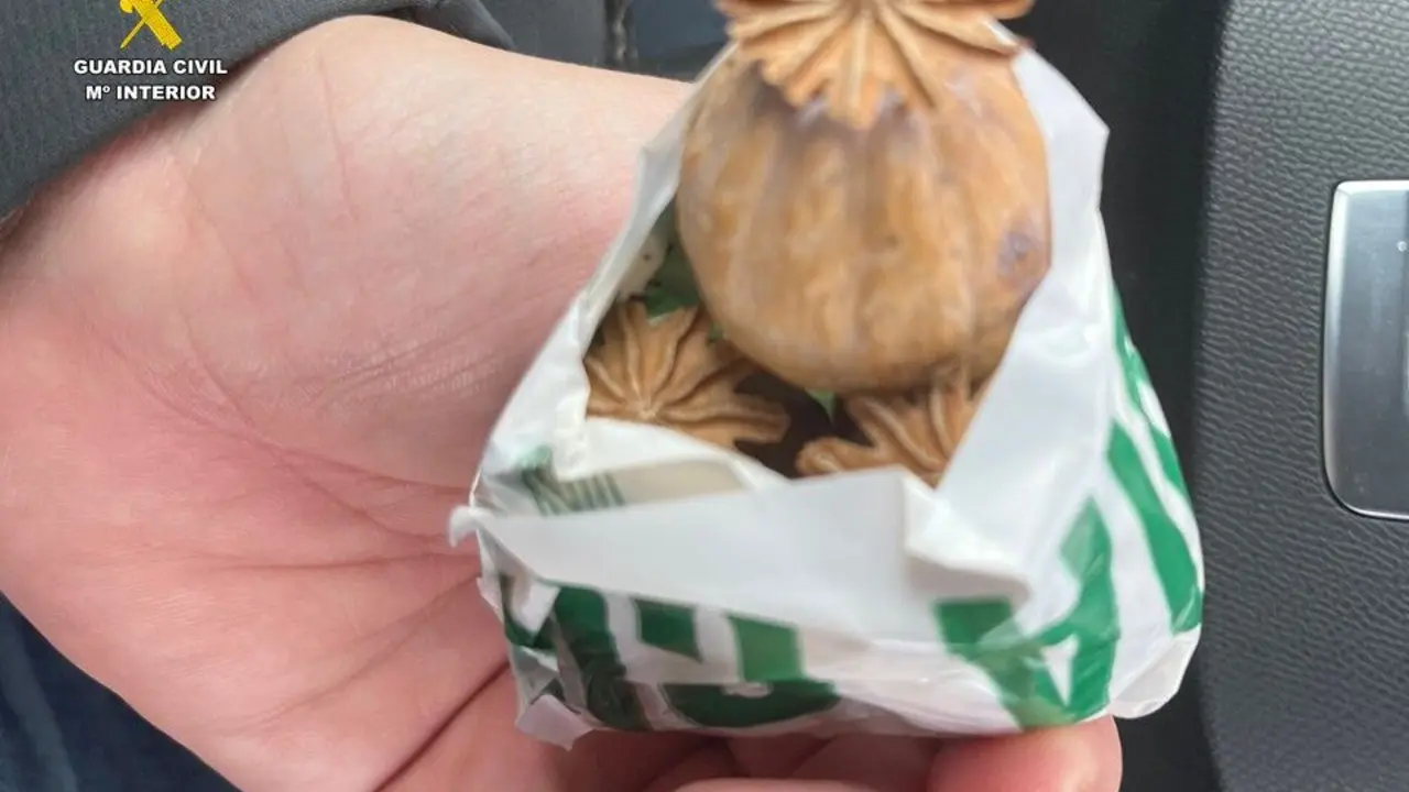 2026-02-21_op_guru_alicante_2