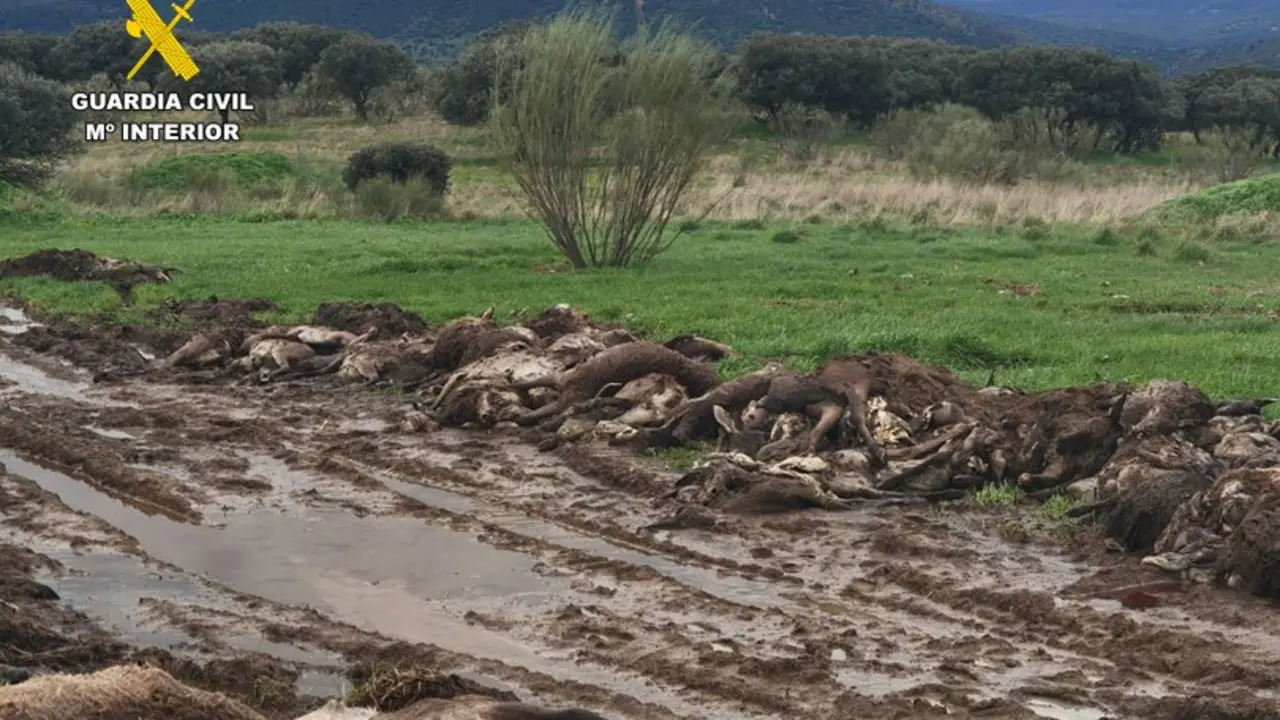 Presentaci&oacute;n1