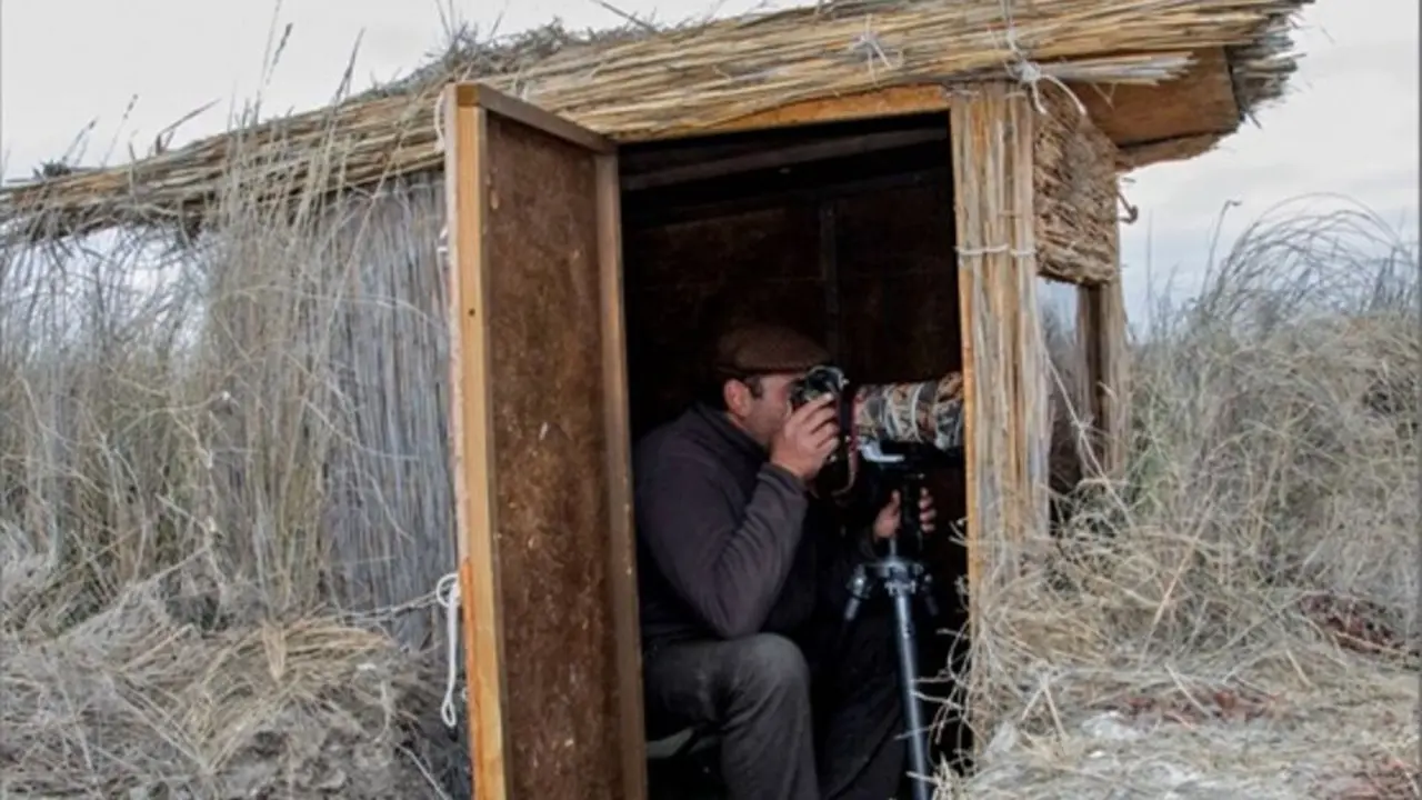 01032026 Hides de observaci&oacute;n de fauna