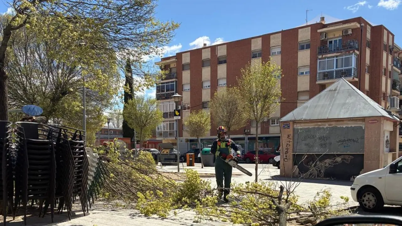 WhatsApp Image 2026-03-29 at 14.35.21