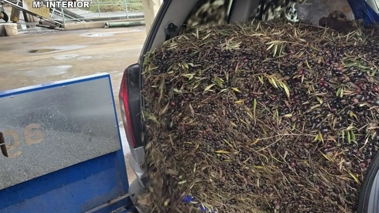 Presentaci&oacute;n1