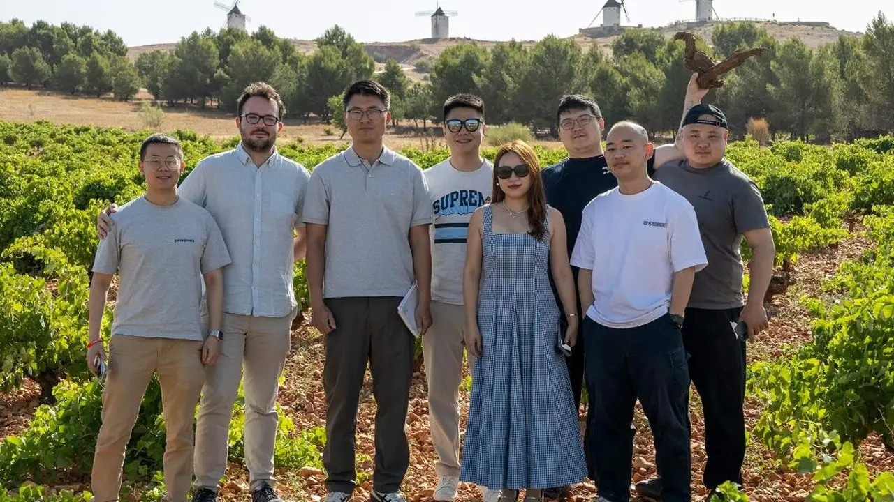 Profesionales chinos en un vi&ntilde;edo manchego - copia