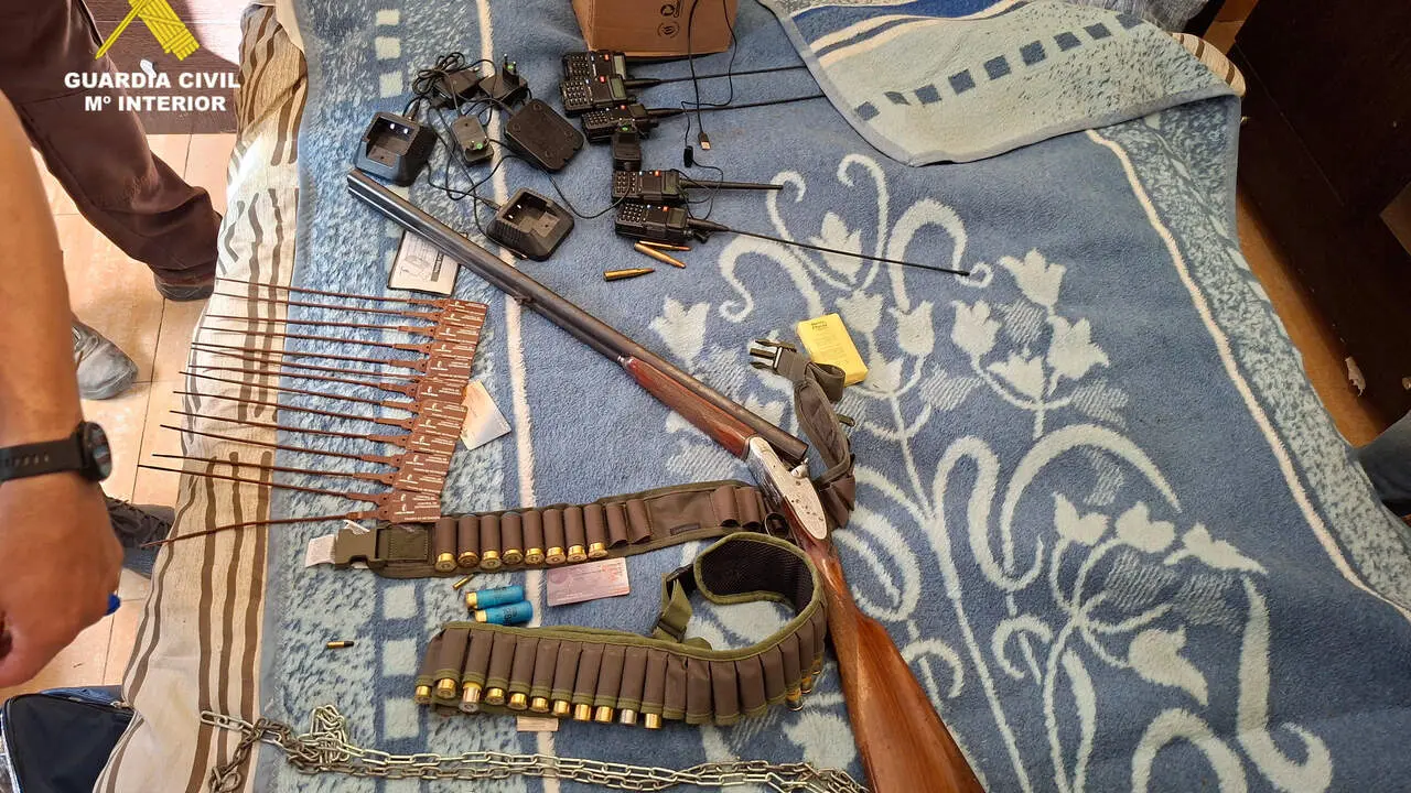 armas_mosca