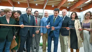 19fcdc4270102c23208fae71d96c386a_2_XL