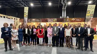 p1hb3jn5c85tn3jg1bdv16fp1fmu4