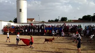 1036_img_20220810_201510