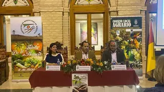 WhatsApp Image 2024-10-17 at 14.23.38