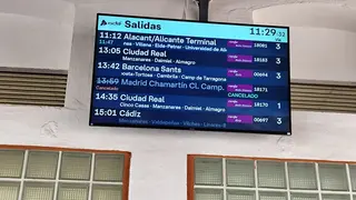 Image 2026-02-09 at 11.55.31(1)