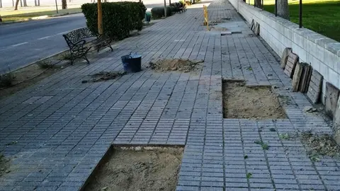 NUEVA REFORMA PASEO DEL PARQUE