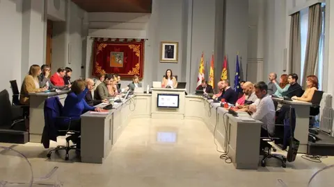 Pleno del mes de enero