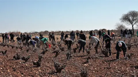 concurso de poda ME, gente podando