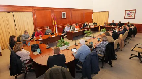 20230316_Pleno ordinario_Comsermancha 001_Comsermancha