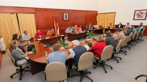 20230421_Pleno Ordinario_Comsermancha