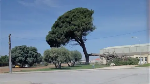 9964_img_20200523_181537