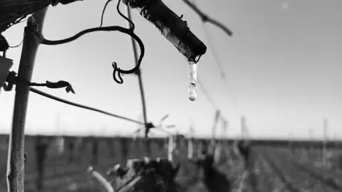 b19561bfe5acb7716f4100f417429700_XL