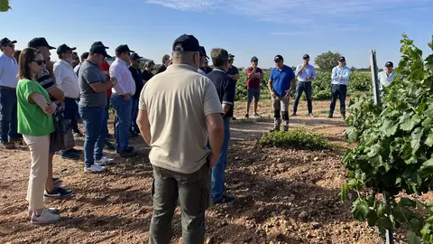 JORNADA T&Eacute;CNICA EL PROVENCIO CUAS