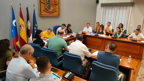 Pleno Ayuntamiento Criptana