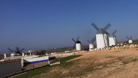 IMG_20210224_102909_resized_20210224_012345896