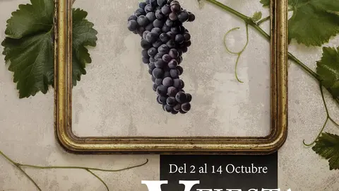 Cartel de la V Fiesta de La Vendimia Denominaci&oacute;n de Origen La Mancha