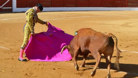 NOVILLADA FERIA DE LOS SABORES 2024 (18)