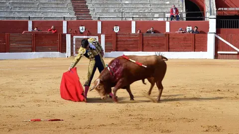 NOVILLADA FERIA DE LOS SABORES 2024 (25)