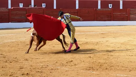 NOVILLADA FERIA DE LOS SABORES 2024 (28)