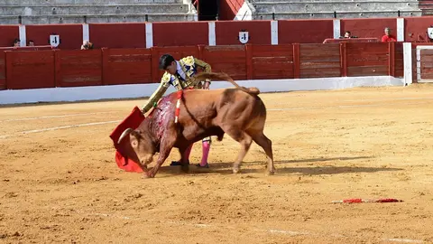 NOVILLADA FERIA DE LOS SABORES 2024 (29)
