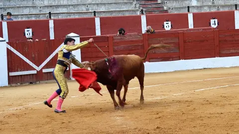 NOVILLADA FERIA DE LOS SABORES 2024 (35)