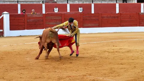 NOVILLADA FERIA DE LOS SABORES 2024 (36)