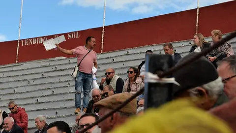 NOVILLADA FERIA DE LOS SABORES 2024 (40)