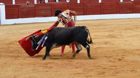 NOVILLADA FERIA DE LOS SABORES 2024 (44)