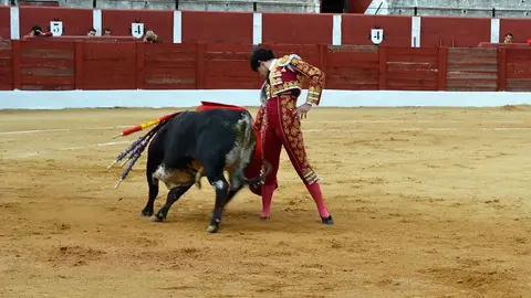NOVILLADA FERIA DE LOS SABORES 2024 (49)