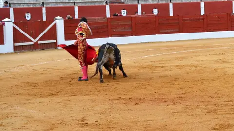 NOVILLADA FERIA DE LOS SABORES 2024 (50)