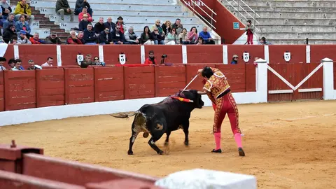 NOVILLADA FERIA DE LOS SABORES 2024 (54)