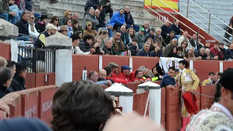 NOVILLADA FERIA DE LOS SABORES 2024 (61)