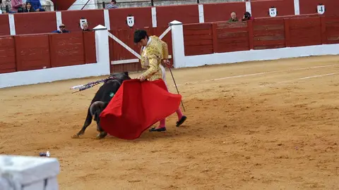 NOVILLADA FERIA DE LOS SABORES 2024 (68)