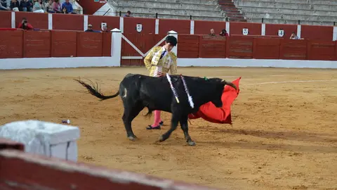 NOVILLADA FERIA DE LOS SABORES 2024 (71)
