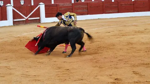 NOVILLADA FERIA DE LOS SABORES 2024 (89)