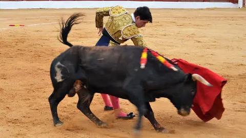 NOVILLADA FERIA DE LOS SABORES 2024 (92)