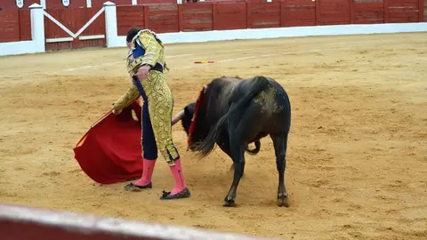 NOVILLADA FERIA DE LOS SABORES 2024 (96)