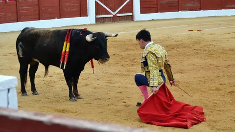 NOVILLADA FERIA DE LOS SABORES 2024 (99)