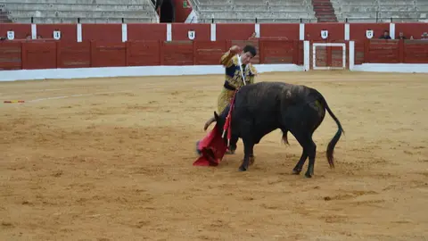 NOVILLADA FERIA DE LOS SABORES 2024 (100)
