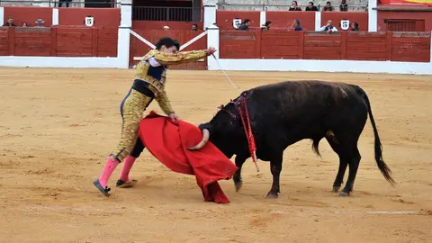 NOVILLADA FERIA DE LOS SABORES 2024 (101)