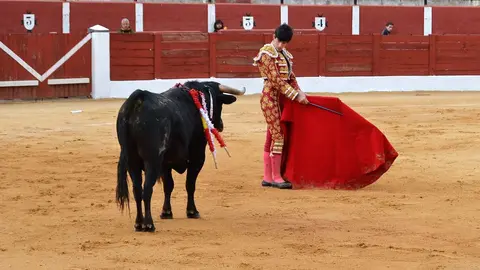 NOVILLADA FERIA DE LOS SABORES 2024 (102)
